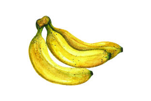 Bunch of Bananas - Watercolor Style: A Designer's Review