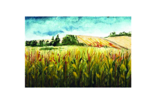 Corn Field - Watercolor Style