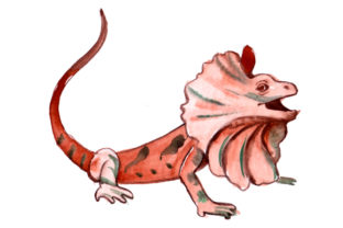 Frill Neck Lizard in Watercolor Style Review