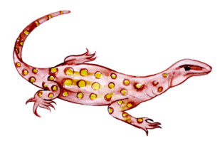 Goanna in Watercolor Style: A Designer’s Practical Review