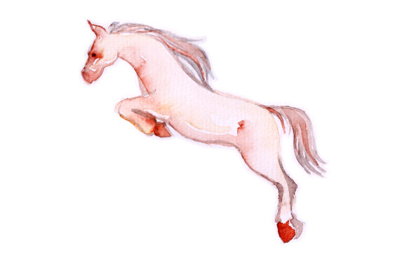 Horse Jumping Watercolor Review for Crafts & Horse Amp