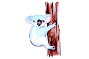 Koala in Watercolor Style: Crafts & Australia