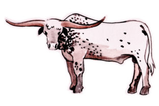 Long Horn Bull in Watercolor: Crafts & Animals Art