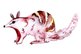 Numbat in Watercolor Style for Australian Crafts Brands