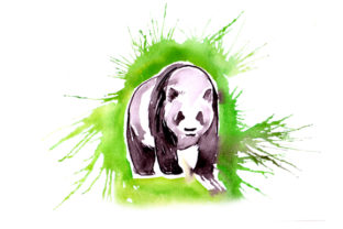 Panda in Paint Splatter Watercolor Style for Crafts & Animals