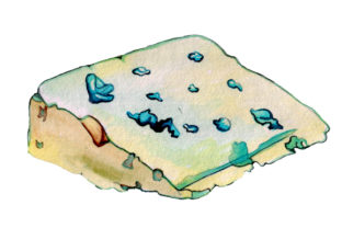 Roquefort Cheese Watercolor Style for Food Amp Crafts