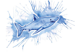 Shark in Paint Splatter Watercolor Style: Animals & Crafts