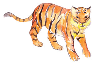 Tiger in Watercolor: Animals & Crafts Design Review