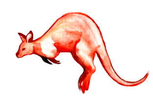 Wallaby in Watercolor Style for Australia Crafts Branding
