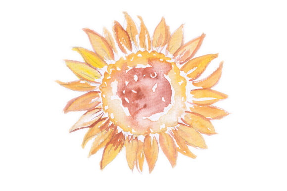 Watercolor Design Sunflower for Crafts & Designs Amp