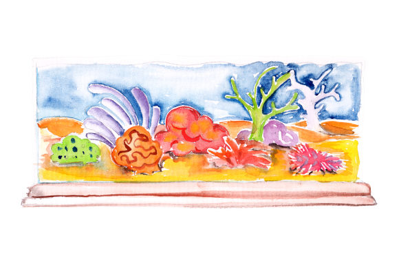 Watercolor Fish Tank Graphic for Crafts & Designs Amp