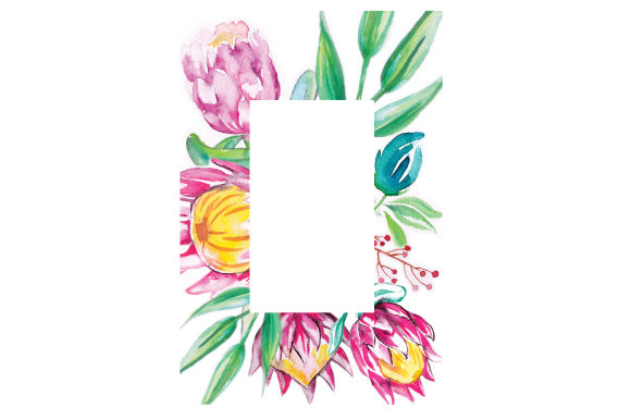Watercolor Proteas Frame: A Designer’s Look at Australian Crafts