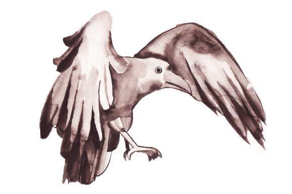Watercolor Raven Flying for Crafts & Animal Art