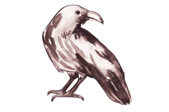 Watercolor Raven Standing for Animal Crafts
