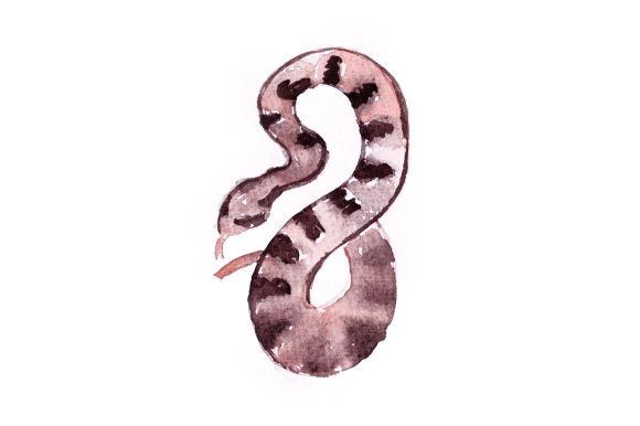Watercolor Snake: A Designer's Practical Review