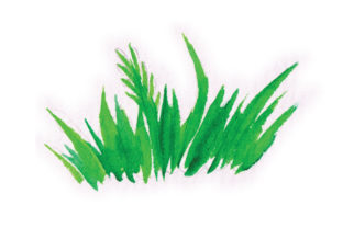 Watercolour Grass Patch: Spring Crafts Design Asset