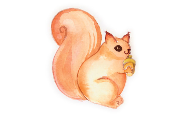 Woodland Animal Watercolor Squirrl: Crafts & Animal Branding